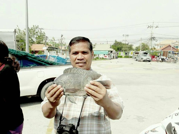 ปลาน็อกน้ำตายเกลื่อนบ่อ