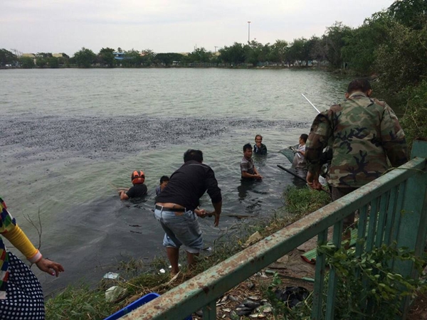 ปลาน็อกน้ำตายเกลื่อนบ่อ