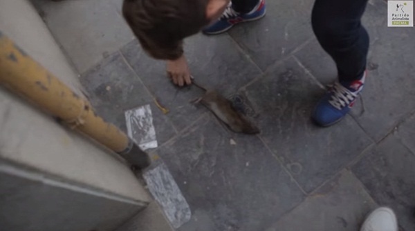 สงครามขว้างหนู