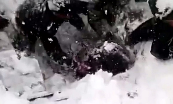 ทหารรอดหลังถูกฝังใต้หิมะ 6 วัน