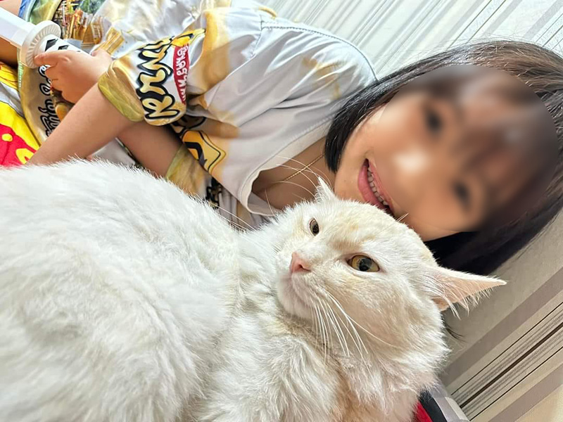 แมวยักษ์