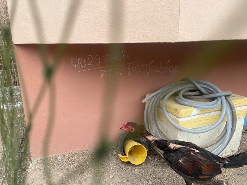 ปัญหาครอบครัว