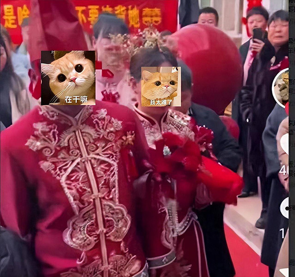 แต่งงานใหม่