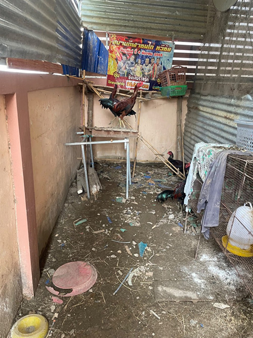 ปัญหาครอบครัว