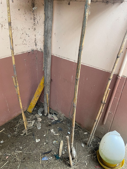 ปัญหาครอบครัว