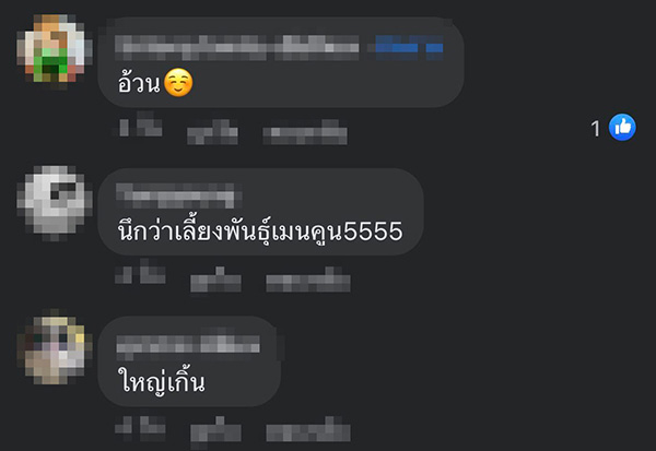 แมวยักษ์