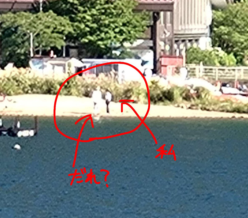 ภาพไวรัลจากญี่ปุ่น