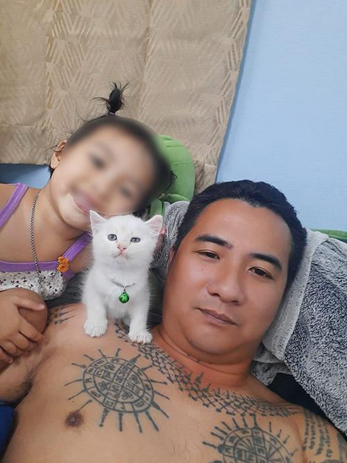 แมวยักษ์