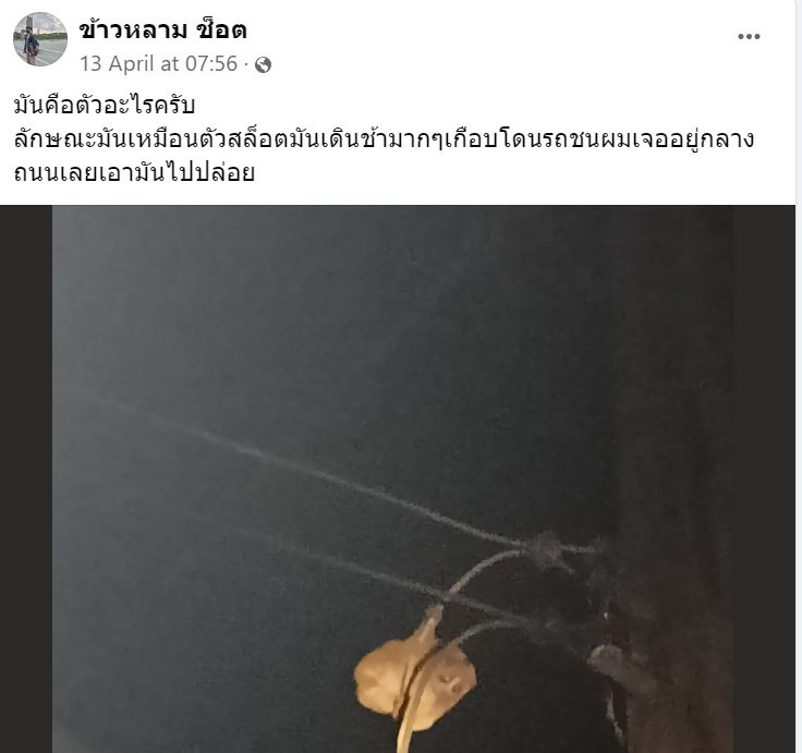 นางอาย