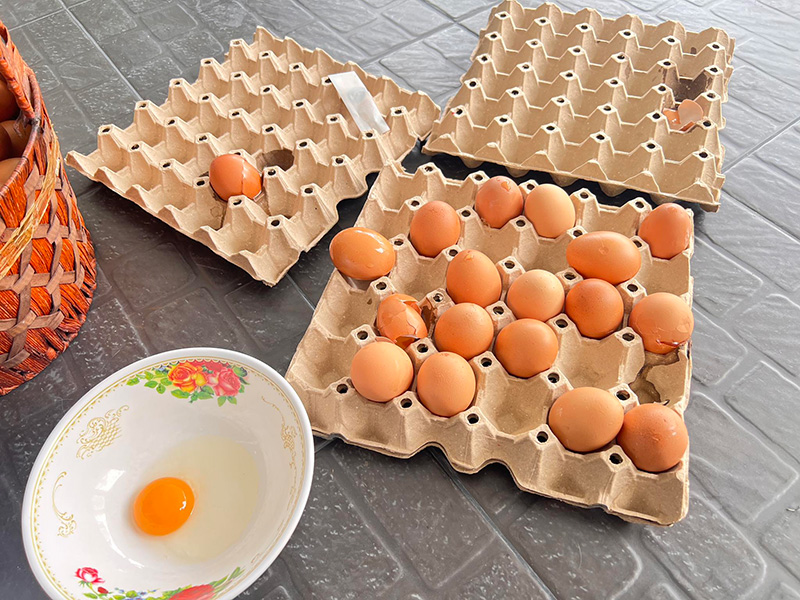 สั่งไข่ออนไลน์