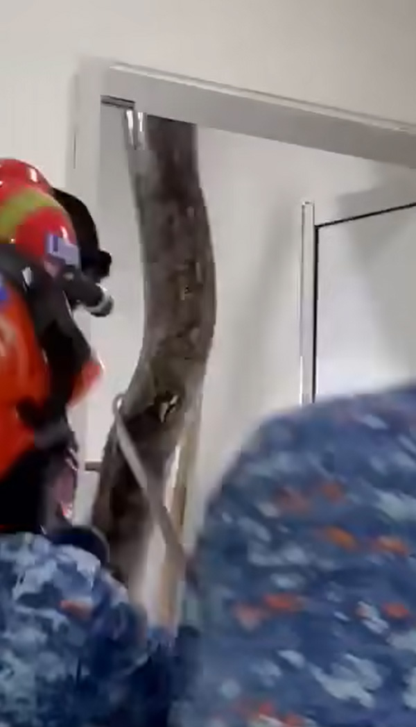 งูเหลือม