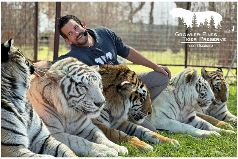 เสือทำร้าย