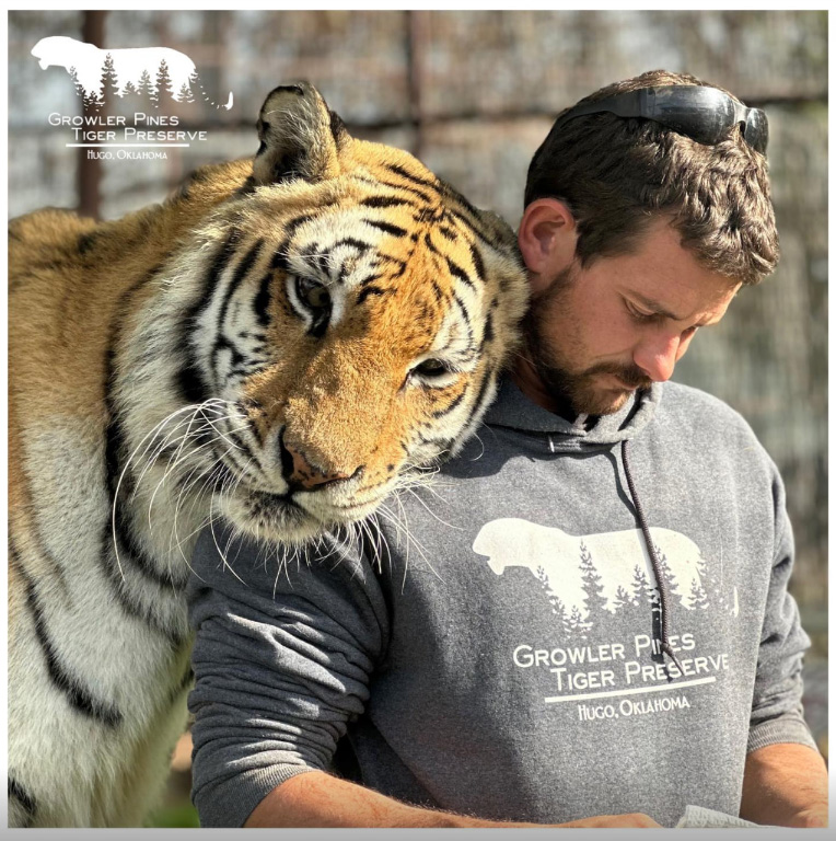 เสือทำร้าย