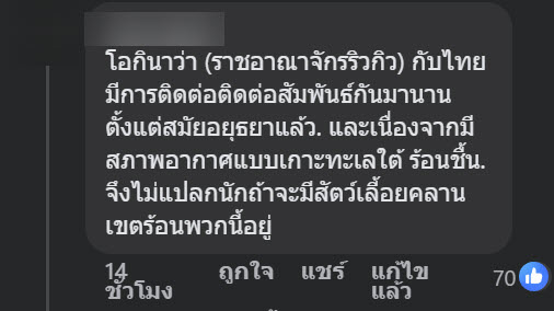 จิ้งจกอ้วน
