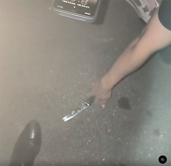 ไล่จับคนร้าย