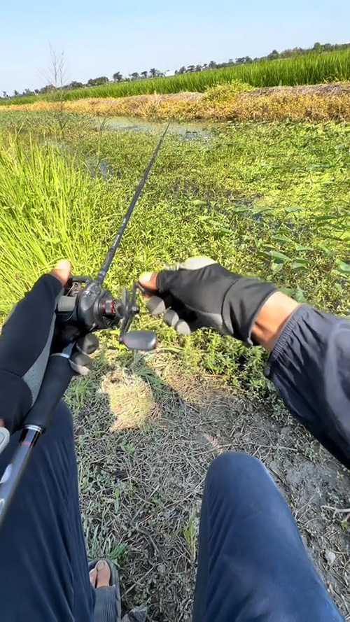 อินฟลูฯ เสียชีวิต