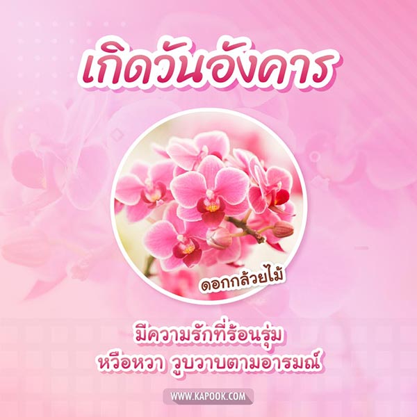 ดอกไม้ประจำวันเกิด
