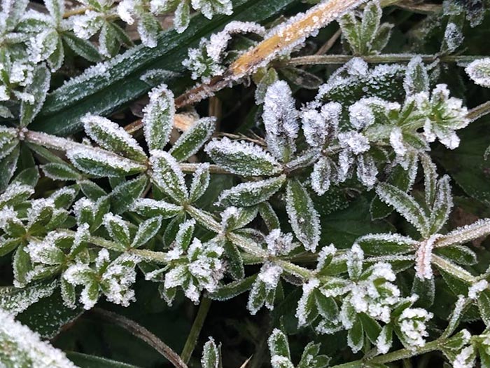 แม่คะนิ้ง