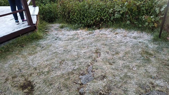 แม่คะนิ้ง