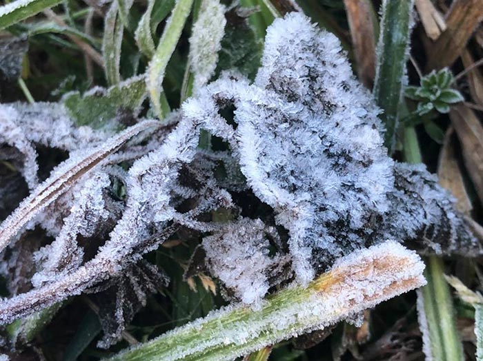 แม่คะนิ้ง