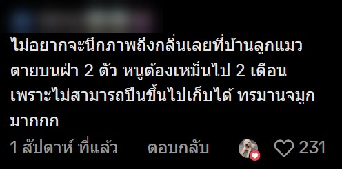 ตัวเงินตัวทองขนาดใหญ่นอนตายใต้พื้นบ้าน