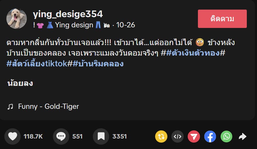 ตัวเงินตัวทองขนาดใหญ่นอนตายใต้พื้นบ้าน
