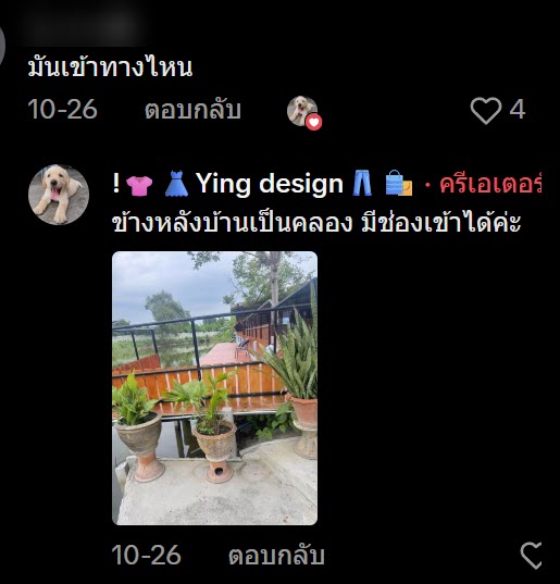 ตัวเงินตัวทองขนาดใหญ่นอนตายใต้พื้นบ้าน