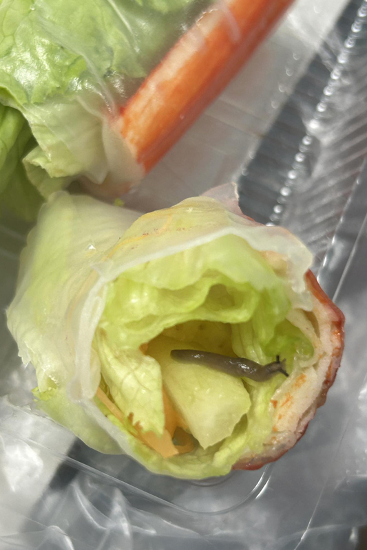 ลูกค้าสั่งสลัดโรล แต่กลับเจอของแถมติดมาด้วย