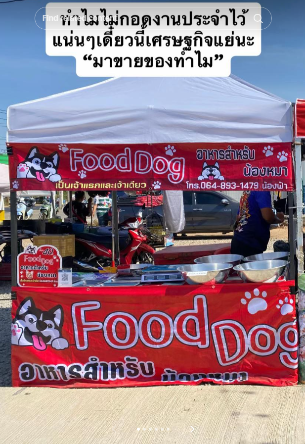 ข้าวแกงหมาแมว