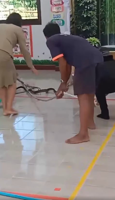 ครูจับงูมือเปล่า ครูจับงูมือเปล่า