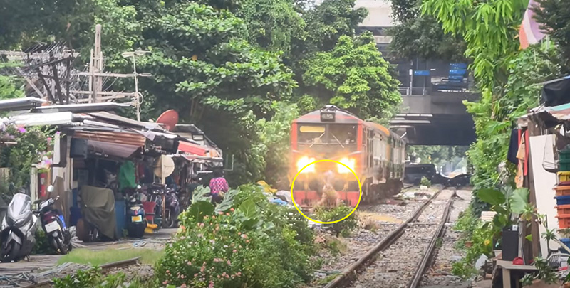 ขสมก. แจงปมรถเมล์สาย 204 ขสมก. แจงปมรถเมล์สาย 204