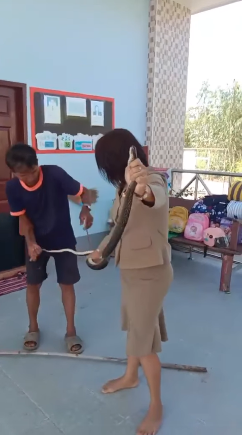 ครูจับงูมือเปล่า ครูจับงูมือเปล่า