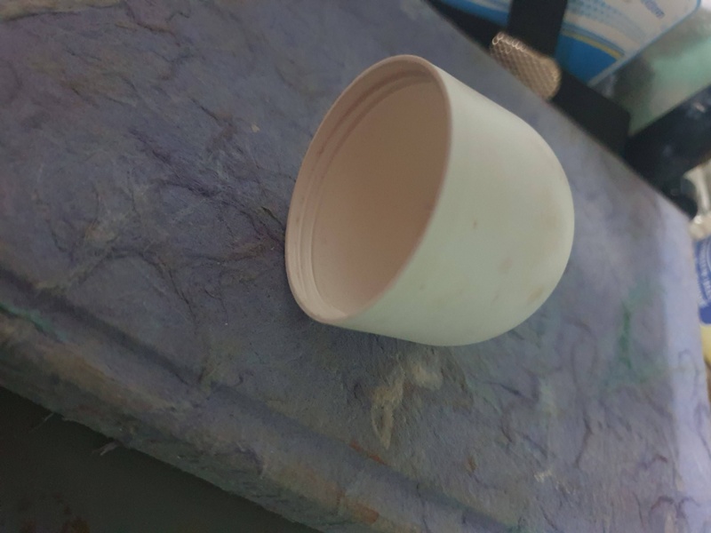 สิ่งแปลกปลอมในช่องคลอด