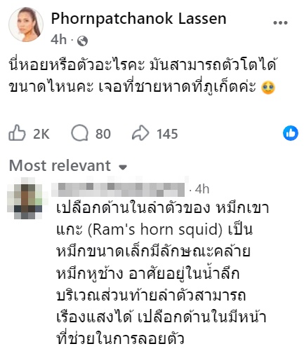 ปลาหมึก