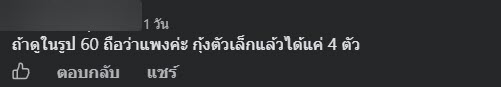 กะเพรากุ้ง 60 บาท แพงไหม ?