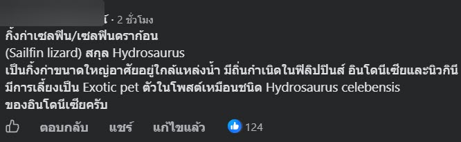 เซลฟินดราก้อน