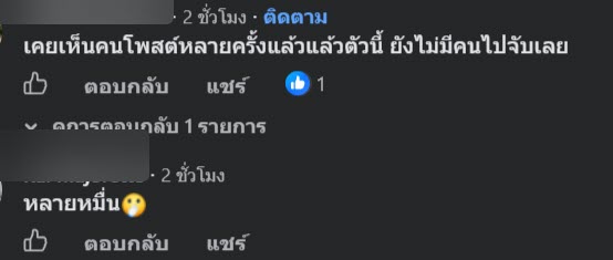เซลฟินดราก้อน