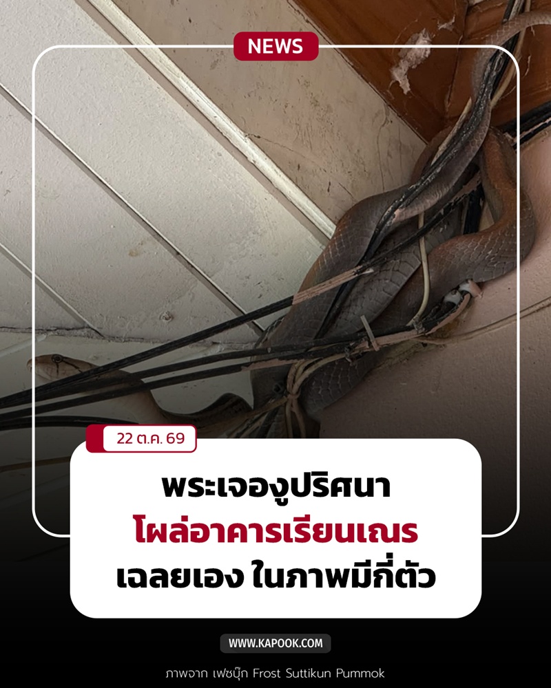 งูโผล่อาคารเรียนเณร