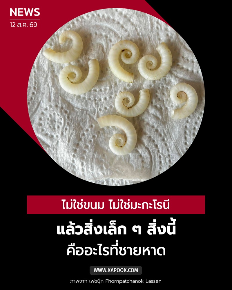 ปลาหมึก