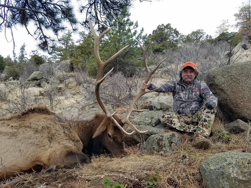 นักล่าสัตว์ถูกช้างป่า 5 ตัวรุมเหยียบ