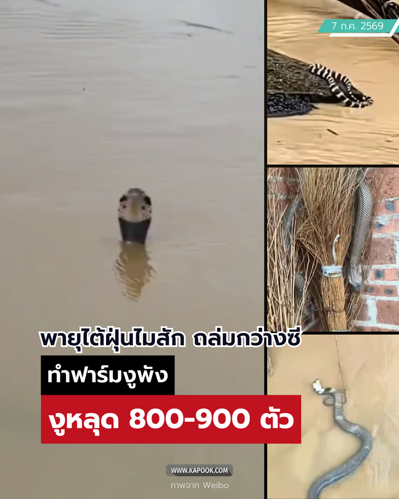 งูหลุด