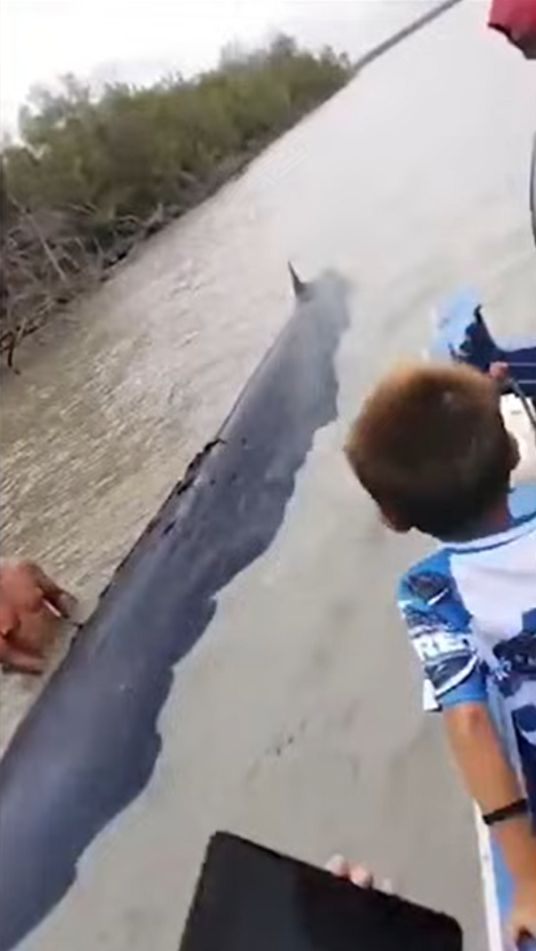 วาฬยักษ์