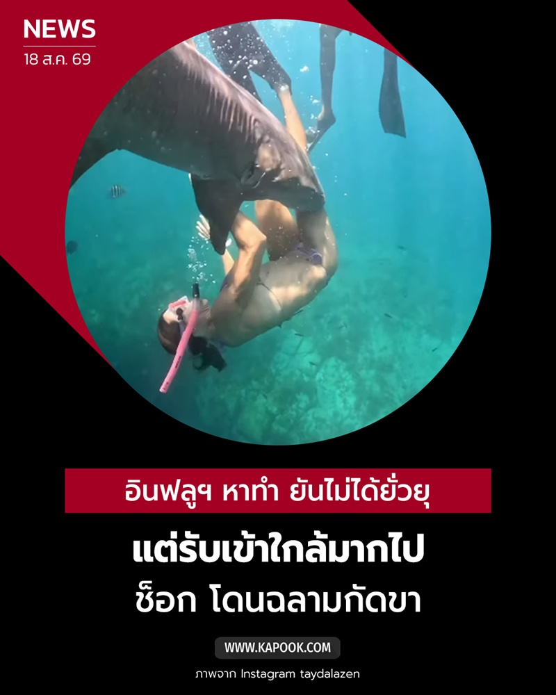 ฉลามกัด