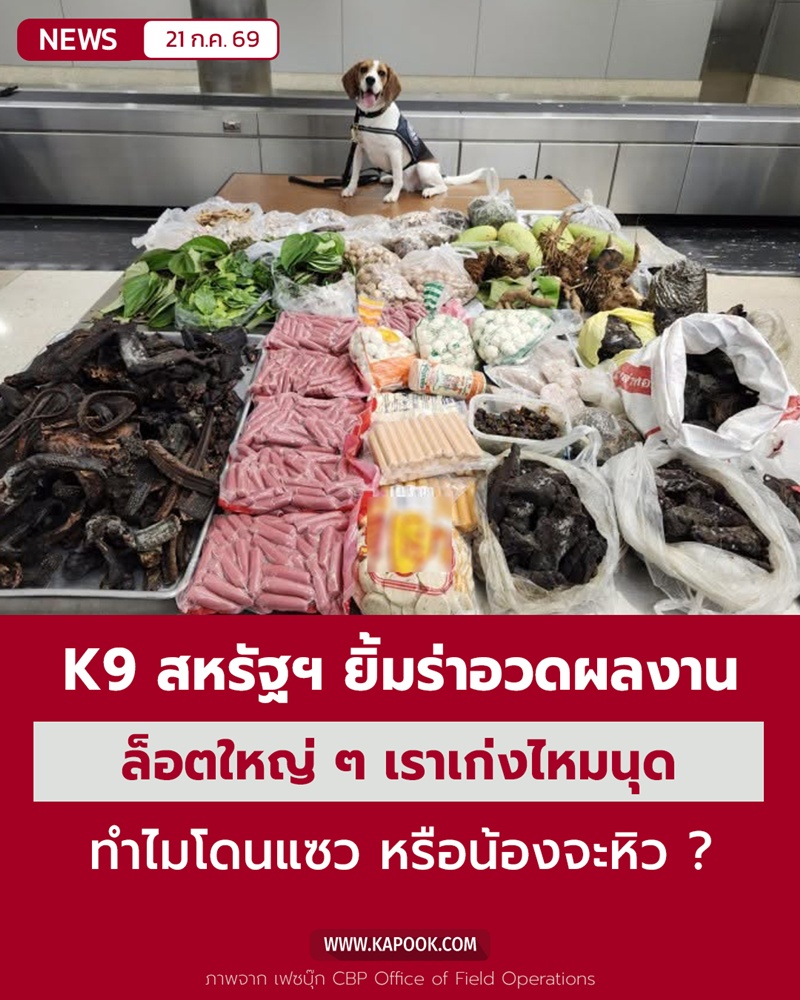 สุนัข K9 ลอสแอนเจลิส