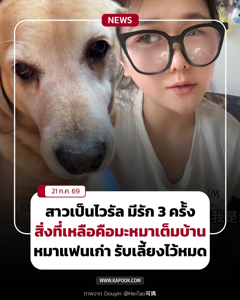 หมาแฟนเก่า หมาแฟนเก่า
