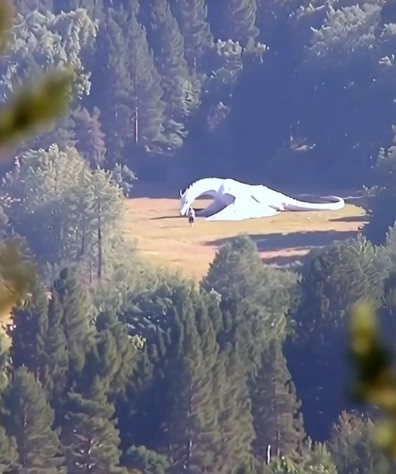 ไวรัลมังกรขาว