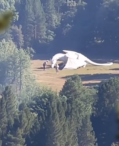 ไวรัลมังกรขาว