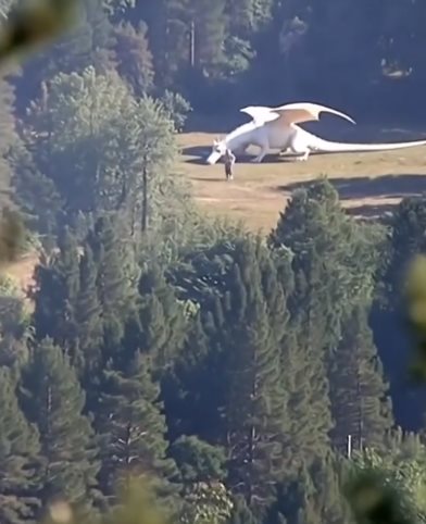 ไวรัลมังกรขาว