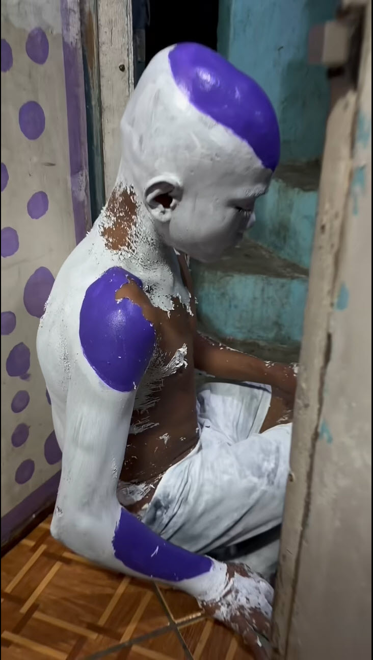 คอสเพลย์ ฟรีซเซอร์