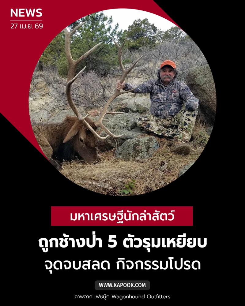 นักล่าสัตว์ถูกช้างป่า 5 ตัวรุมเหยียบ